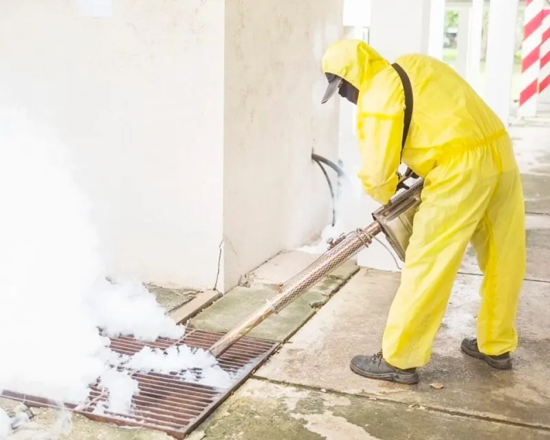 Mosquito Control