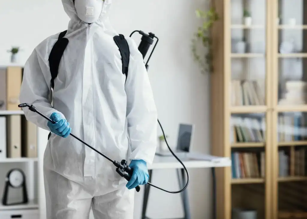 How Long Does Pest Control Take to Work?