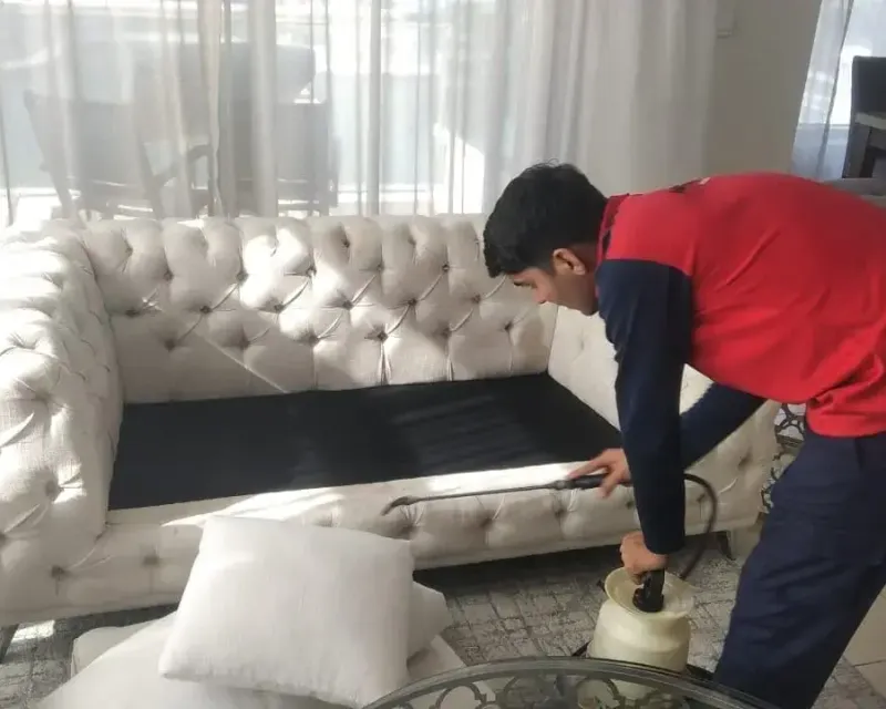Cockroach Control