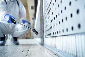 How Much Does Pest Control Cost in Dubai? (And Other Questions We Get All the Time)